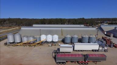 Farm Sold - NSW - Balranald - 2715 - 26000t storage facility - selling freehold  (Image 2)