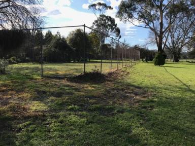Farm Sold - VIC - Won Wron - 3971 - PEACE & SERENITY WITH ARCHITECTURALLY DESIGNED QUALITY HOME SET ON 29 ACRES OF PRIME GRAZING LAND  (Image 2)