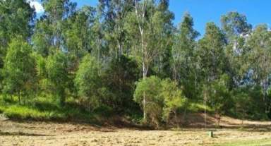 Farm For Sale - QLD - Kooralbyn - 4285 - OVER 2 ACRES - GREAT DEVELOPMENT OPPORTUNITY  (Image 2)