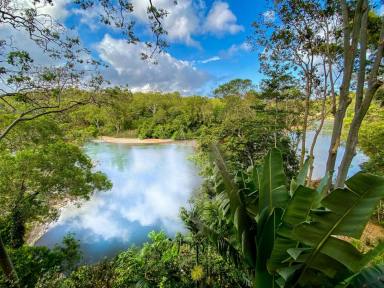 Farm Sold - QLD - Kuranda - 4881 - Secluded riverfront property with complete privacy.  (Image 2)