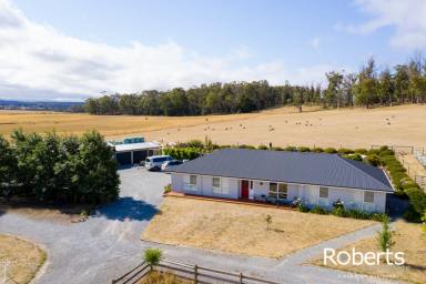 Farm Sold - TAS - Sidmouth - 7270 - Great Land, Great Home, Great Lifestyle  (Image 2)