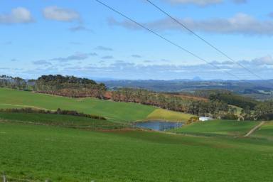 Farm Sold - TAS - Table Cape - 7325 - Beyond Spectacular Views  (Image 2)