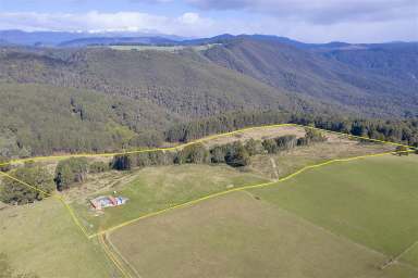 Farm Sold - TAS - Preston - 7315 - 53 Well-fenced Acres  (Image 2)