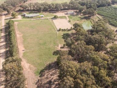 Farm Sold - NSW - Young - 2594 - Large first class residence 10 acres stables and arena  (Image 2)