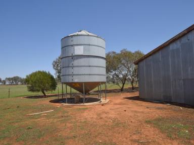 Farm Sold - NSW - Young - 2594 - FAIRVIEW 210acs*  (Image 2)