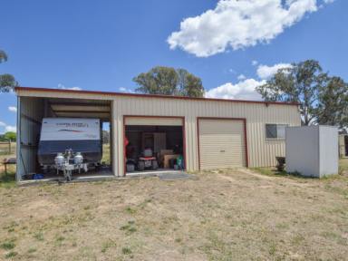 Farm Sold - NSW - Young - 2594 - All This On 16acs* Only 10 Minutes* To Town  (Image 2)