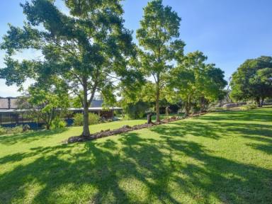Farm Sold - NSW - Young - 2594 - 47acs* With a 4 Bedroom Home Only Minutes To Town  (Image 2)