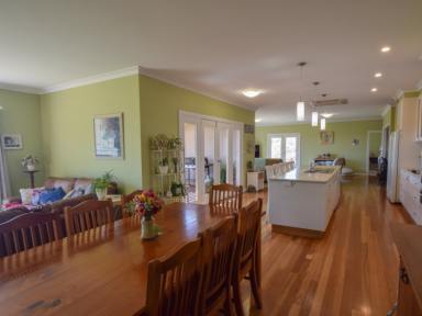 Farm Sold - NSW - Young - 2594 - Stunning Lifestyle Property on 5acs With The Convenience Of Town Water  (Image 2)