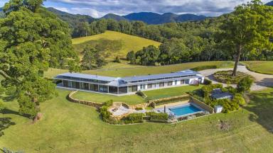 Farm Sold - NSW - Upper Orara - 2450 - Sweeping Grand Views from Your Incredible 100 Acre Country Retreat...  (Image 2)