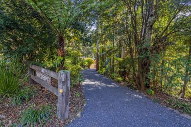 Farm Sold - NSW - Bellingen - 2454 - Superbly Crafted Country Residence - 8 Minutes From Bellingen  (Image 2)