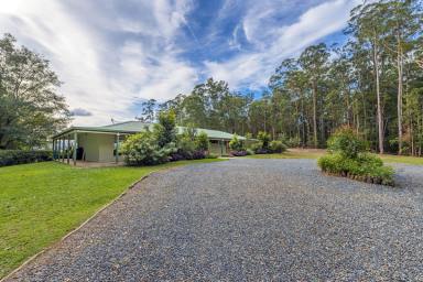 Farm Sold - NSW - Bellingen - 2454 - One of the Best Locations in Sought After Fernmount...  (Image 2)