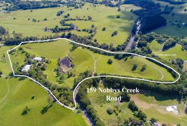 Farm Sold - NSW - Nobbys Creek - 2484 - Indulge Yourself in this Magnificent Location...  (Image 2)