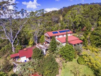 Farm Sold - QLD - Black Mountain - 4563 - 40 private acres income producing property at Noosa  (Image 2)