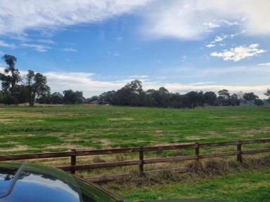 Farm Sold - WA - Middle Swan - 6056 - 11 ACRES - VACANT LAND WITH WATER LICENCE  (Image 2)
