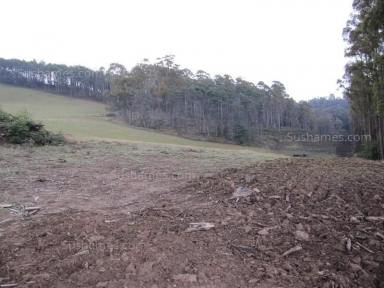 Farm Sold - TAS - Nook - 7306 - UNDER CONTRACT   Acreage, country lifestyle.  (Image 2)