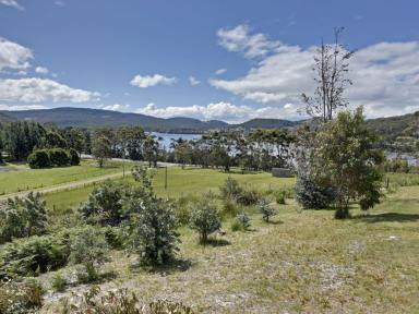 Farm Sold - TAS - White Beach - 7184 - Inexpensive land in quiet location with stunning bay views, what more do you want!  (Image 2)