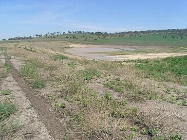 Farm Sold - NSW - Warialda - 2402 - PRIME AGRICULTURAL LAND  (Image 2)