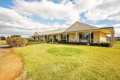 Farm Sold - NSW - Moama - 2731 - Lifestyle Living At It's Best  (Image 2)