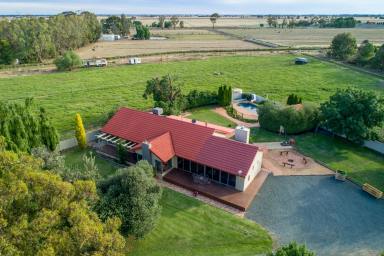 Farm Sold - VIC - Echuca - 3564 - Rural lifestyle so close to town 9.45 acres  (Image 2)
