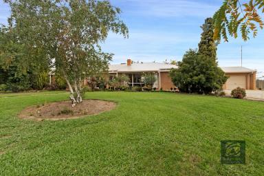 Farm Sold - VIC - Echuca - 3564 - Your Country Lifestyle Awaits  (Image 2)