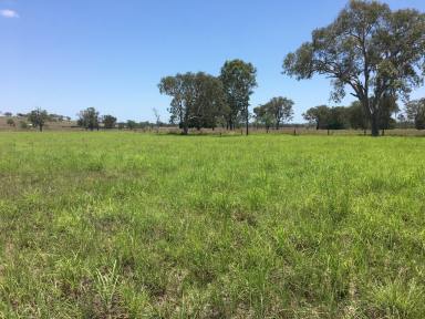 Farm Sold - QLD - Bajool - 4699 - Rare opportunity to purchase substantial cattle operation close to Rockhampton  (Image 2)