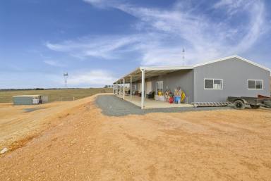 Farm Sold - NSW - Goulburn - 2580 - Close And Convenient  (Image 2)