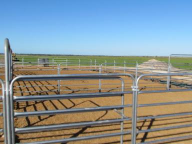 Farm Sold - WA - Jerdacuttup - 6346 - Security on the South Coast - at its best!!  (Image 2)
