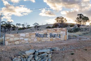 Farm Sold - NSW - Burra - 2620 - Lot 903, Mount Burra  (Image 2)