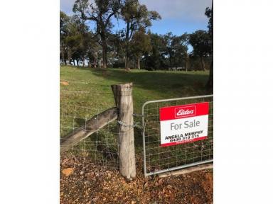 Farm For Sale - WA - Donnybrook - 6239 - Beautiful Paddocks close to Town Centre!. What an opportunity!  (Image 2)