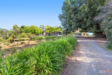 Farm Sold - VIC - Thorpdale - 3835 - AFFORDABLE & ADORABLE LIFESTYLE PROPERTY  (Image 2)