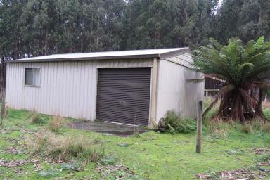 Farm Sold - TAS - Upper Castra - 7315 - Here is an opportunity  (Image 2)