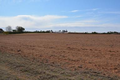 Farm Sold - VIC - Red Cliffs - 3496 - DEVELOPMENT OPPORTUNITY  (Image 2)