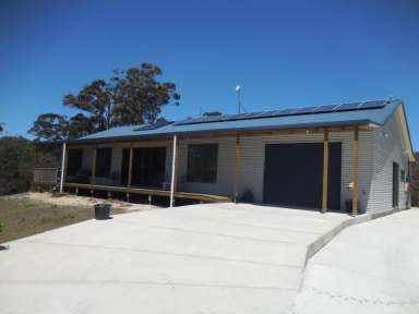 Farm Sold - TAS - York Town - 7270 - Energy Efficient House, Privacy & Growing Income = Amazing Lifestyle  (Image 2)