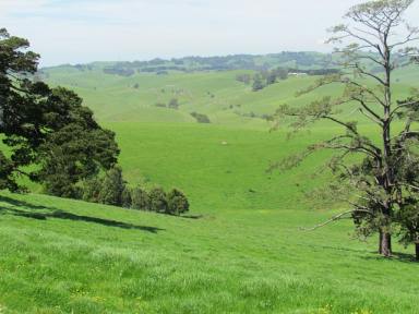 Farm Sold - VIC - Mountain View - 3988 - PRODUCTIVE HILL GRAZING COUNTRY 256 ACRES  (Image 2)