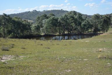 Farm Sold - NSW - Crookwell - 2583 - Recreational Retreat  (Image 2)