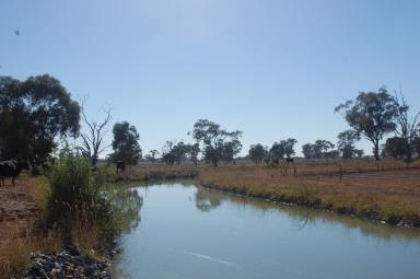 Farm Sold - VIC - Harston - 3616 - Opportunity Knocks - 146.59ha (362 Acres approximately)  3 Titles  (Image 2)