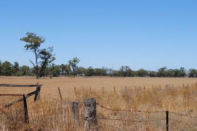 Farm Sold - VIC - Murchison North - 3610 - Intensive farming opportunity  (Image 2)