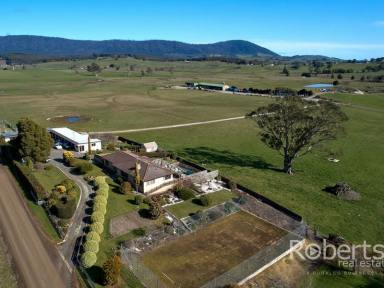Farm For Sale - TAS - Scottsdale - 7260 - So Much Potential on 98 Acres!  (Image 2)