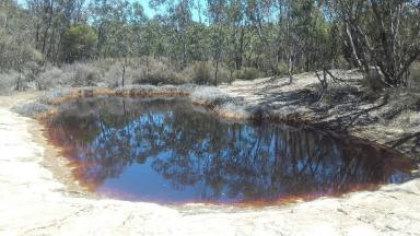 Farm Sold - WA - Yourdamung Lake - 6225 - 64 Hectares For Sale.  (Image 2)