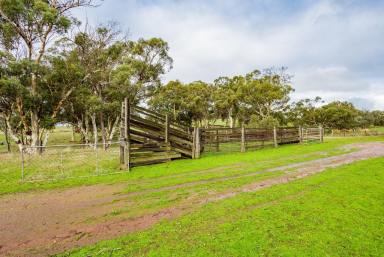 Farm Sold - WA - Quindanning - 6391 - Quindanning Sheep Property 301 Acres  (Image 2)