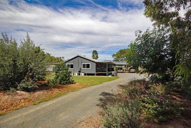 Farm Sold - QLD - Biloela - 4715 - Welcome Home - Your Country Retreat Awaits  (Image 2)