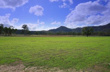 Farm Sold - NSW - Doyles Creek - 2330 - 55 Acre Lifestyle Property with Mountain Back Drop  (Image 2)