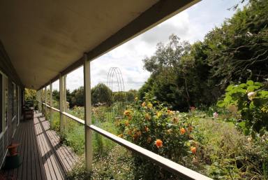 Farm Sold - VIC - Foster - 3960 - Character home, knockout views  (Image 2)