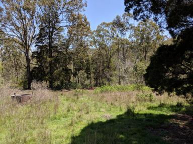 Farm Sold - QLD - West Haldon - 4359 - South East of Toowoomba, The Falls (Property 17)  (Image 2)