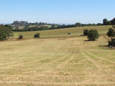 Farm Sold - VIC - Neerim - 3831 - EXCEPTIONAL 3HA WITH PLANNING PERMIT  (Image 2)