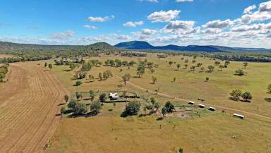 Farm Sold - QLD - Bushley - 4702 - "Rockhampton District Grazing with Quality Breeding Herd Included" -  (Image 2)
