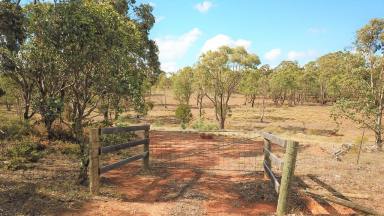 Farm Sold - NSW - Goulburn - 2580 - Fabulous Rural Location  (Image 2)