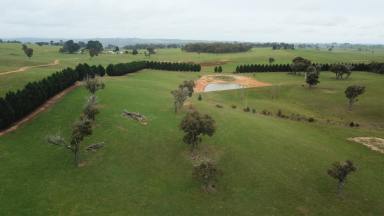 Farm Sold - NSW - Crookwell - 2583 - " Pine Ridge "  (Image 2)
