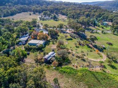 Farm Sold - NSW - Sandy Hollow - 2333 - MOTIVATED VENDOR... KEEN TO SELL  (Image 2)