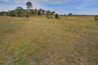 Farm Sold - NSW - Goulburn - 2580 - Just 9kms Off The Hume  (Image 2)